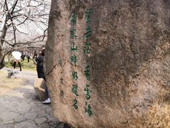 -香雪海