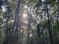 -南京东郊国宾馆