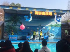 -荆州中山公园动物园