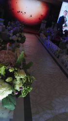 -雅奇婚庆(永乐园社区店)