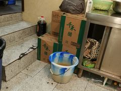 -肖家河家常面(肖家河北街店)