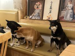 -柴の食堂·日式家庭料理·熊之肆(大学路店)