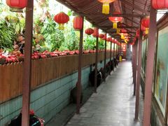 -窄巷子陕菜馆·地道陕西菜(粉巷店)