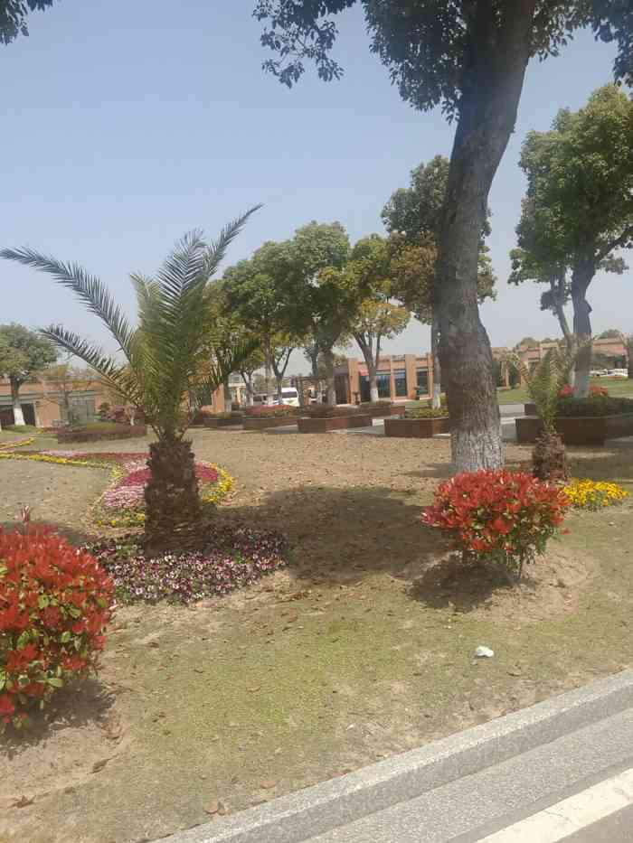 上海南汇长桥山庄-"大家懂的,清明和冬至来的比较多,虽然大家.