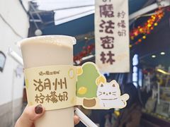 -猫的魔法密林(衣裳街店)