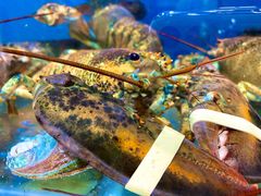 -吕氏疙瘩汤·私家菜馆(慈云寺店)