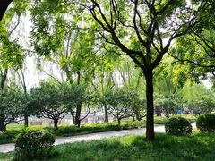 -泰丰公园
