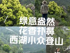 -十里琅珰