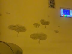 -水韵江南·SPA ·按摩(龙华店)