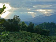 -清远鱼水旅游风景度假区