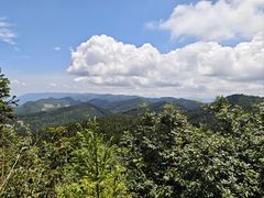 -武陵山森林公园