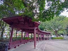 -光明港公园
