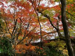 -常寂光寺