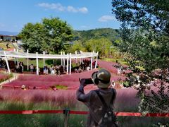 -牛岗山公园