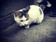 -白公馆