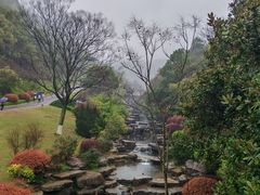 -桃花岭景区