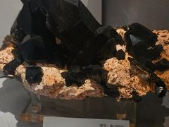 -湖南省地质博物馆