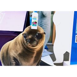 -安利上海体验馆