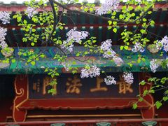 -大觉寺-停车场