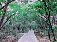 -紫金山天文台