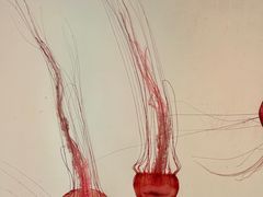 -沈阳海洋探索中心