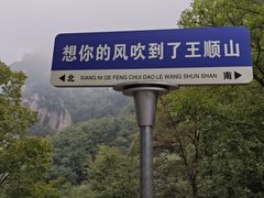 -王顺山国家森林公园
