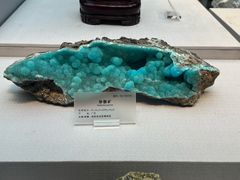 -湖南省地质博物馆