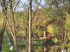 -杭州植物园