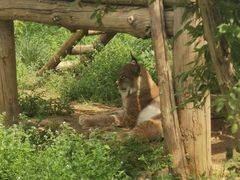 -石家庄市动物园