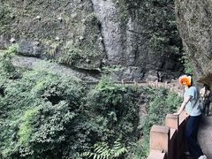 -青城山