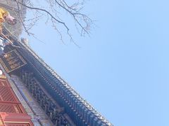 -潭柘寺景区