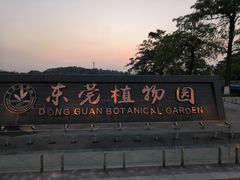 -东莞植物园