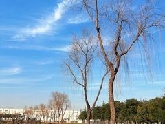 -洨河生态公园
