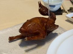 -侨美食家·粤菜(体育西路店)