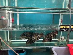 -钱山海鲜大排档