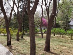 -玲珑塔公园