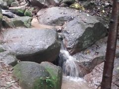 -火炉山森林公园