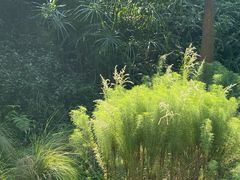 -云溪植物园