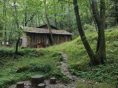 -牛背梁国家森林公园