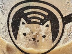 -楼上猫咖(罗湖店)