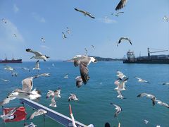 -海驴岛(荣成市)
