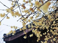 -钱王祠