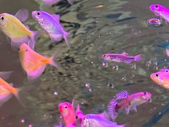 -Nirvana Cafe&Bar(北仓文创街区店)