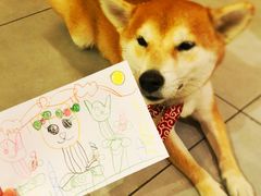 -柴务处·柴犬主题狗咖