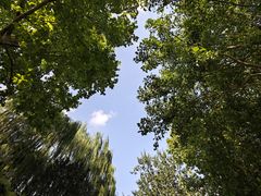 -济南大明湖景区