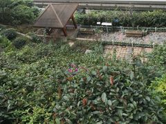 -新都巷步道