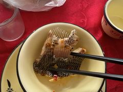 -风鑫铃罗非鱼(道沟店)