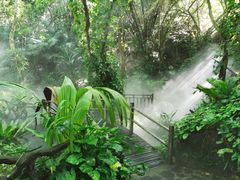 -呀诺达热带雨林