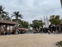 -上海野生动物园老虎餐厅