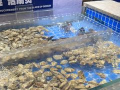 -亚马逊海鲜自助(梅溪湖步步高店)